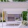 white lounge chairs by a pool