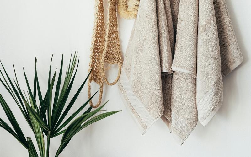 towels hanging on a wall near a plant