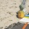 a pineapple on a beach